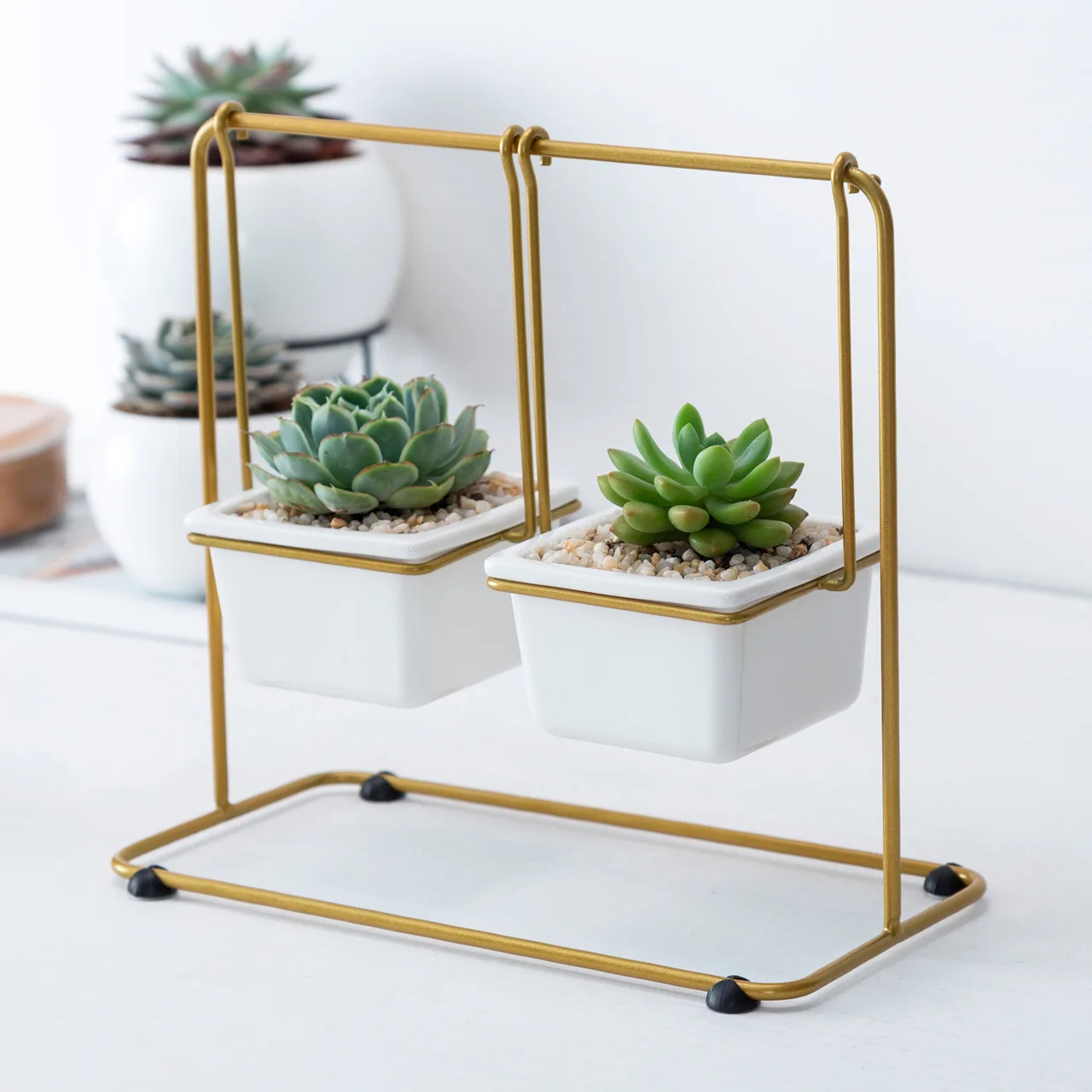 Nordic Style Swing Flower Pot Wrought Iron Ceramic Meaty Platter Desktop Flower Pot Planters for Succulents
Nordic Style Swing Flower Pot Wrought Iron Ceramic Meaty Platter Desktop Flower Pot Planters for Succulents