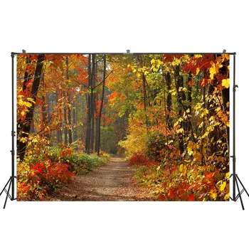 HUAYI Autumn Park Path Autumn Forest Pathway Yellow Trees backdrop Fall Scenery Background wedding photo decorations W-4151
HUAYI Autumn Park Path Autumn Forest Pathway Yellow Trees backdrop Fall Scenery Background wedding photo decorations W-4151