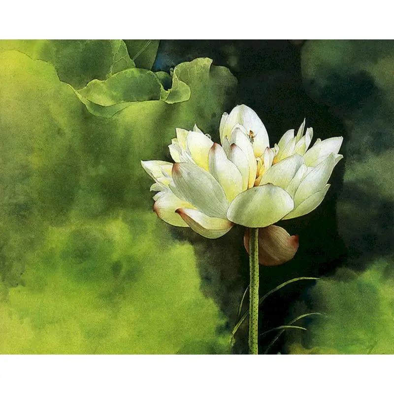 Painting By Numbers Frame lotus Flower Diy Modern Oil Painting HandPainted For Children adults By Kits Home Decor Acrylic Oil
Painting By Numbers Frame lotus Flower Diy Modern Oil Painting HandPainted For Children adults By Kits Home Decor Acrylic Oil