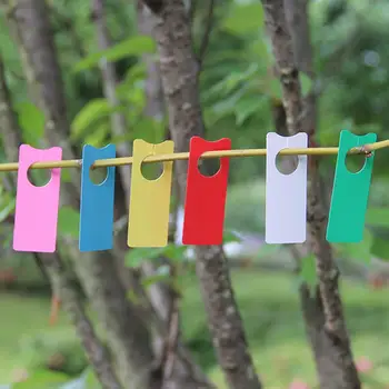200Pcs/pack Grape Labels Melon Fruit Tags Multifunction Portable Grape Sign board Orchard Plant Garden Decoration
200Pcs/pack Grape Labels Melon Fruit Tags Multifunction Portable Grape Sign board Orchard Plant Garden Decoration