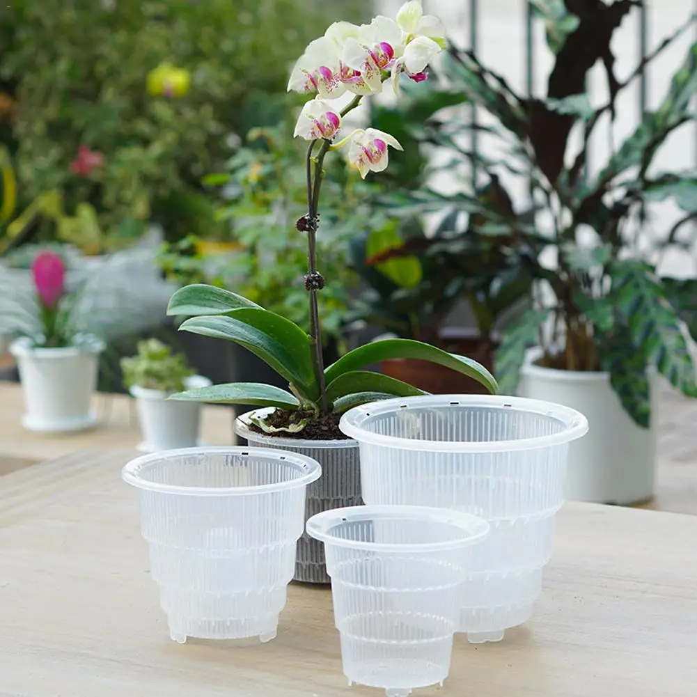10/12/15cm Mesh Pot PP Clear Orchid Flower Container Planter Durable Fleshy Flower Pot With Holes Home Gardening Decoration 40P
10/12/15cm Mesh Pot PP Clear Orchid Flower Container Planter Durable Fleshy Flower Pot With Holes Home Gardening Decoration 40P