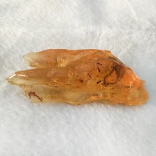 77g Natural Rough Copal Resina Âmbar Fósseis Minerais Espécime De Cristal De Quartzo Pedra de Ensino Exemplar de Decoração Para Casa(China)