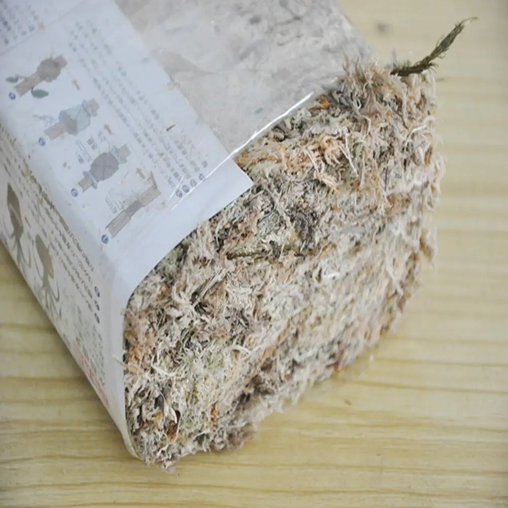 Фото Новый 6л мох Sphagnum увлажняющее питание органическое удобрение для дома Орхидея