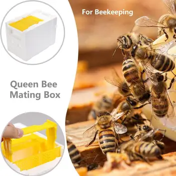 Home Hive Box Harvest Bee Hive Beekeeping King Box Box Delivery Queen Harvest Tool Hive Pollination Bee Bee Box Beekeeping I1U5
Home Hive Box Harvest Bee Hive Beekeeping King Box Box Delivery Queen Harvest Tool Hive Pollination Bee Bee Box Beekeeping I1U5