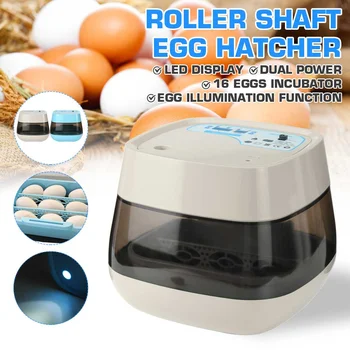 16 Eggs Fully Automatic Incubator Chicken Incubator with Photo Function LED Lighting Automatic Egg Turning Egg Hatcher
16 Eggs Fully Automatic Incubator Chicken Incubator with Photo Function LED Lighting Automatic Egg Turning Egg Hatcher
