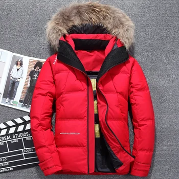 New Fur Hooded Duck Down Jackets Men Thicken Warm High Quality Down Coats Male Casual Winter Outerwer Down Parkas
New Fur Hooded Duck Down Jackets Men Thicken Warm High Quality Down Coats Male Casual Winter Outerwer Down Parkas
