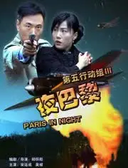 第五行动组3夜巴黎