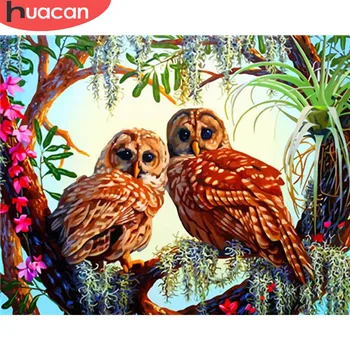 HUACAN Pictures By Numbers Owl Animals HandPainted Kits Drawing Canvas Oil Painting Home Decoration DIY Gift
HUACAN Pictures By Numbers Owl Animals HandPainted Kits Drawing Canvas Oil Painting Home Decoration DIY Gift