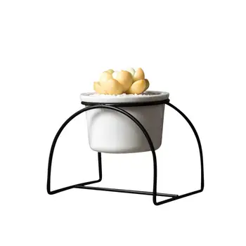 Iron Arched Stand Ceramic Succulent Green Plant Flower Round Pot Ceramic Pot Iron Display Stand Container Set Decoration
Iron Arched Stand Ceramic Succulent Green Plant Flower Round Pot Ceramic Pot Iron Display Stand Container Set Decoration