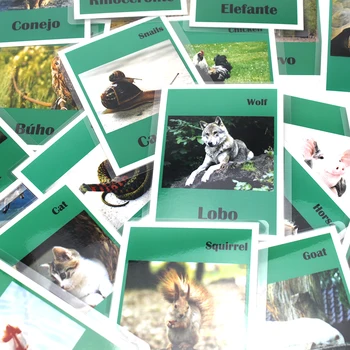 Children Learning Spanish/English Animal FlashCards for Child Montessori Educational Spain Kids Toys Classroom Study Card Games
Children Learning Spanish/English Animal FlashCards for Child Montessori Educational Spain Kids Toys Classroom Study Card Games