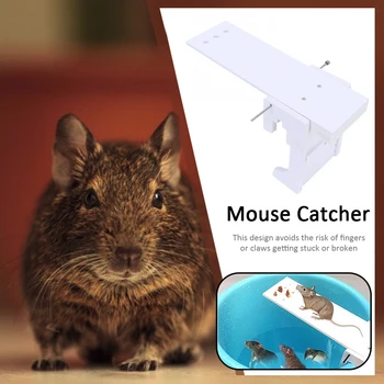 DIY Non-toxic Rat Trap Catcher Rodent Bait Killer Home Garden Seesaw Mouse Board for Household Safety Accessories
DIY Non-toxic Rat Trap Catcher Rodent Bait Killer Home Garden Seesaw Mouse Board for Household Safety Accessories
