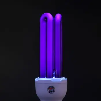 Led Bulb Ultraviolet 40W E27 Light Bar Lamp Lamp UV UV 3U Fluorescent Fluorescent Fluorescent
Led Bulb Ultraviolet 40W E27 Light Bar Lamp Lamp UV UV 3U Fluorescent Fluorescent Fluorescent
