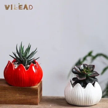 VILEAD 4Styles Ceramic Small Flower pot Lotus Puppy Dolphin Shape Simple Creative Cactus Succulent Plants Mini Pot Home Decor
VILEAD 4Styles Ceramic Small Flower pot Lotus Puppy Dolphin Shape Simple Creative Cactus Succulent Plants Mini Pot Home Decor