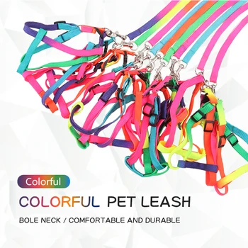 Adjustable Rainbow Dog Leash Harness Nylon Colorful Leashes Outdoor Safety Walking Traction Rope For Dogs Lead Belt Pet Supplies 
Adjustable Rainbow Dog Leash Harness Nylon Colorful Leashes Outdoor Safety Walking Traction Rope For Dogs Lead Belt Pet Supplies