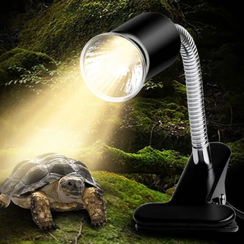 Sunsun Lamp Holder UVB3.0 Halogen Bulb for Lizard Turtle Tortoise Spider Frog Dendrobatidae Hedgehog
Sunsun Lamp Holder UVB3.0 Halogen Bulb for Lizard Turtle Tortoise Spider Frog Dendrobatidae Hedgehog