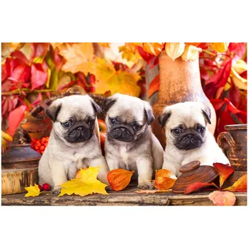 kokoer Full Square/Round Drill 5D DIY Diamond Painting "pug " dog Embroidery Cross Stitch 5D Home Decor Gift 
kokoer Full Square/Round Drill 5D DIY Diamond Painting "pug " dog Embroidery Cross Stitch 5D Home Decor Gift