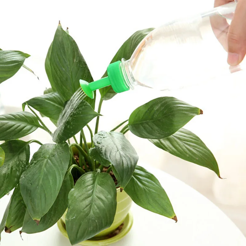 Портативный бытовой горшок зеленый растение Лейка напиток бутылка