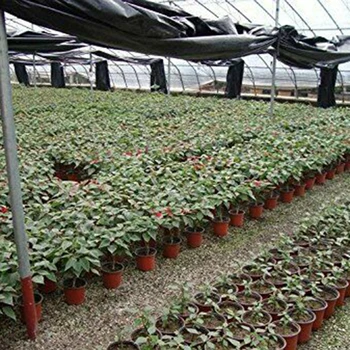 100pcs Brown Recycled Plastics Planting Pots Seed Starter Grow Nursery Flower Herb Plant 120*87*108mm
100pcs Brown Recycled Plastics Planting Pots Seed Starter Grow Nursery Flower Herb Plant 120*87*108mm