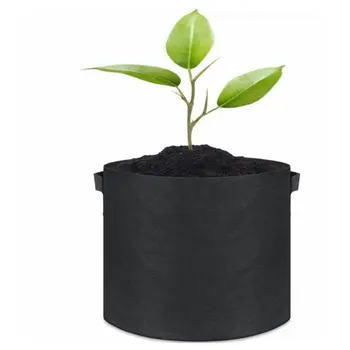 5 Pcs/Lot Grow Bags Aeration Black Non-Woven Fabric Pots With Handles Planting Bag Seedling Flowerpot
5 Pcs/Lot Grow Bags Aeration Black Non-Woven Fabric Pots With Handles Planting Bag Seedling Flowerpot