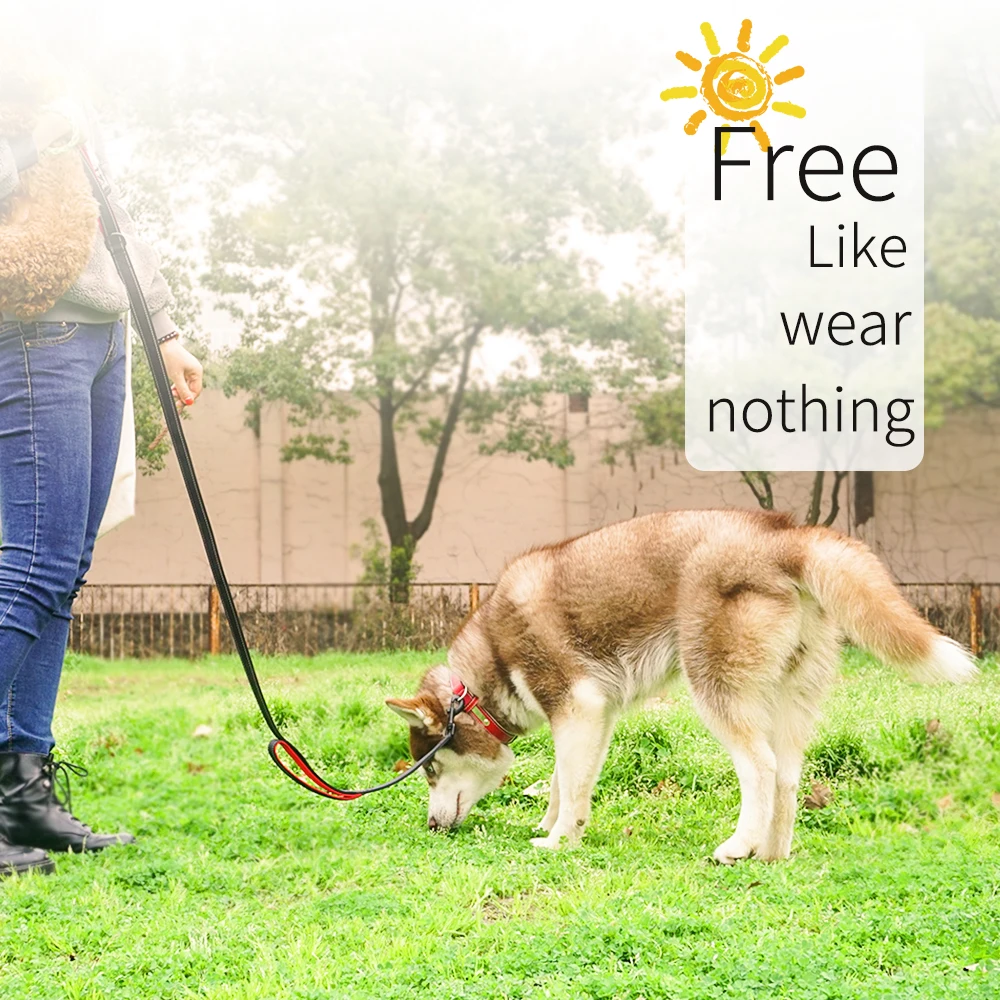 1 pc Customized Engraved Dog Collar Genuine Leather Collar for dogs Anti-Lost Personalized ID Tag for Pet Soft Double Layers
1 pc Customized Engraved Dog Collar Genuine Leather Collar for dogs Anti-Lost Personalized ID Tag for Pet Soft Double Layers