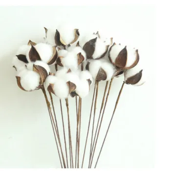 1pcs Decorative Dried Flowers Natural Cotton Branch Small Flowers Plants Stems Flores Secas for Home Wedding Party Decoration
1pcs Decorative Dried Flowers Natural Cotton Branch Small Flowers Plants Stems Flores Secas for Home Wedding Party Decoration