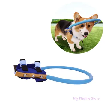 Blind Dogs Safe Halo Harness Blind Pet Anti-collision Ring Cataract Animal Protection Circle Guide Cover Pet Supplies C42
Blind Dogs Safe Halo Harness Blind Pet Anti-collision Ring Cataract Animal Protection Circle Guide Cover Pet Supplies C42