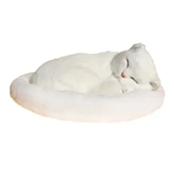 Simulation Animal Craft Decoration Model Birthday Gift Handmade Creative Simulation Breathing Cat Professional
Simulation Animal Craft Decoration Model Birthday Gift Handmade Creative Simulation Breathing Cat Professional