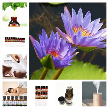 100% Pure Natural Aromatherapy Oils Air FresheRening Red spider lily Essential Oil Flower Fruit Humidifier Massage Fragrance Oil
100% Pure Natural Aromatherapy Oils Air FresheRening Red spider lily Essential Oil Flower Fruit Humidifier Massage Fragrance Oil