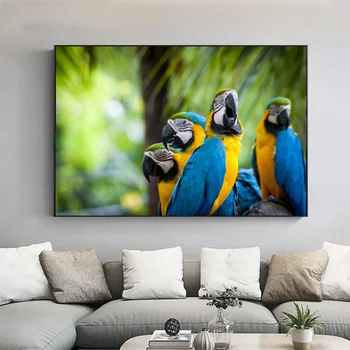 Funny Parrot Pictures Wall Art Canvas Painting Posters And Prints Animal Paintings For Living Room Decoration Cuadros No Frame
Funny Parrot Pictures Wall Art Canvas Painting Posters And Prints Animal Paintings For Living Room Decoration Cuadros No Frame