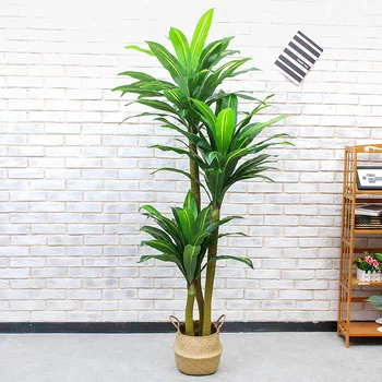 artificial bonsai trees 180cm iron Brazilian wood trees Indoor fake trees greenery artificial plants potted plants faux plants
artificial bonsai trees 180cm iron Brazilian wood trees Indoor fake trees greenery artificial plants potted plants faux plants