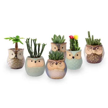 6Pcs/lot Ceramic Owl Shape Succulent Flower Pot Home Living Room Decoration Plant Potted Vase Decoration Planter Bonsai Pots
6Pcs/lot Ceramic Owl Shape Succulent Flower Pot Home Living Room Decoration Plant Potted Vase Decoration Planter Bonsai Pots