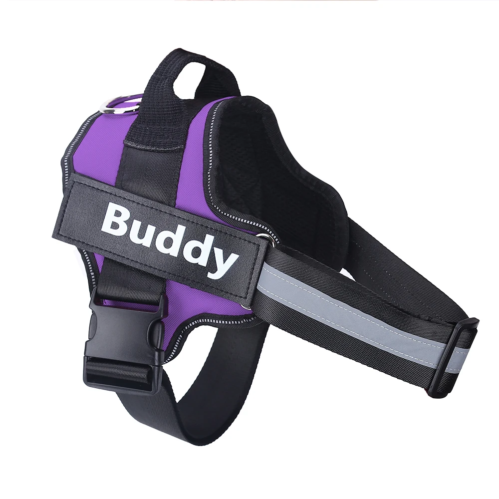Personalized Dog Harness NO PULL