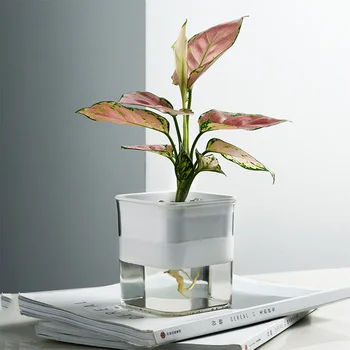 Automatic Irrigate Plant Pot Self Watering Flower Planter Transparent Lazy Planting Pot Round Water Storage Basin 11x9x11cm
Automatic Irrigate Plant Pot Self Watering Flower Planter Transparent Lazy Planting Pot Round Water Storage Basin 11x9x11cm
