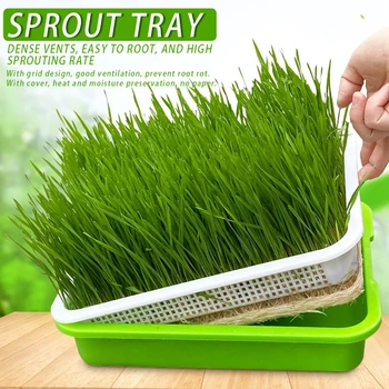 Seed Sprouter Tray Soil-Free Large Capacity with Cover Seedling Tray Bean Sprout Plate Hydroponic MDJ998
Seed Sprouter Tray Soil-Free Large Capacity with Cover Seedling Tray Bean Sprout Plate Hydroponic MDJ998