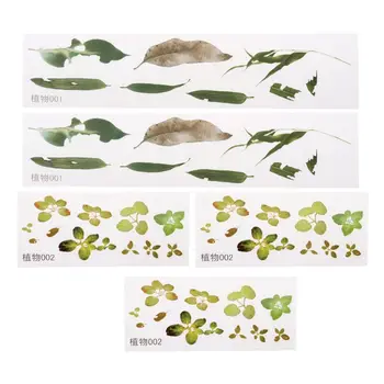 5Pcs 3D Leaves Clear Water Grass Film Sticker For Resin Goldfish Painting Jewely 
5Pcs 3D Leaves Clear Water Grass Film Sticker For Resin Goldfish Painting Jewely