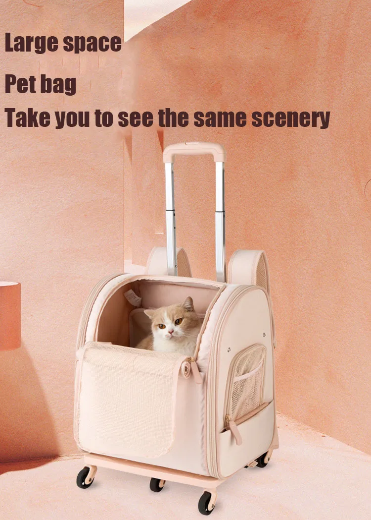 H4ae1762b8f394d188d653967981e0460C