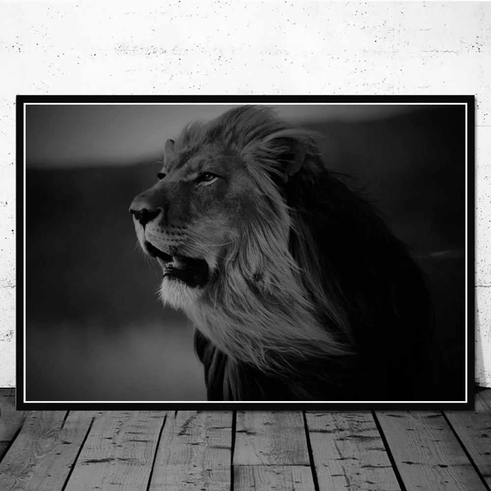 Фото Черно белая картина рожающий лев король холст настенное - купить
