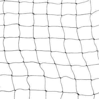 Pest Control Light Weight Durable Vegetables Useful Mesh Pond Net Anti Bird Netting Nylon Protection Crops Garden Use Fruit Tree
Pest Control Light Weight Durable Vegetables Useful Mesh Pond Net Anti Bird Netting Nylon Protection Crops Garden Use Fruit Tree