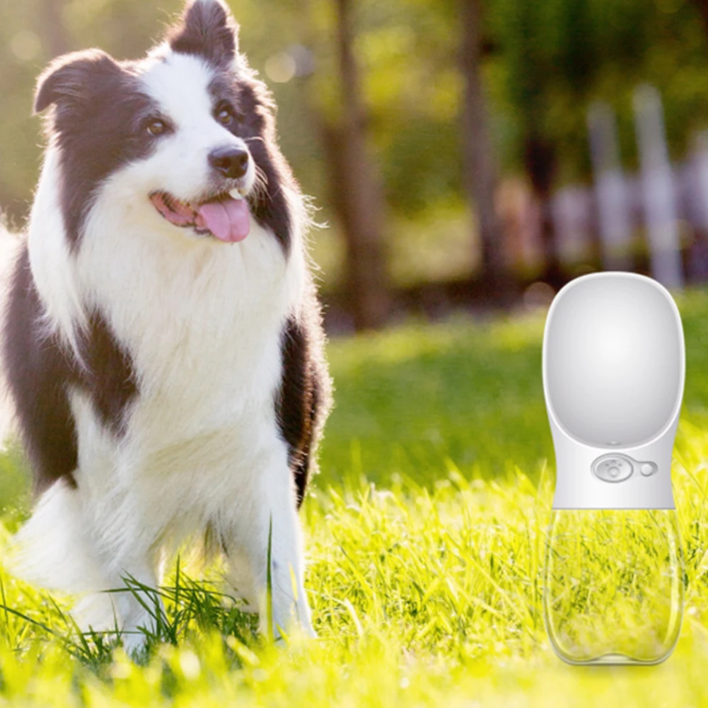 Pet Accompanying Cup One-touch Waterproof Button Food Grade Plastic Material Out Cup Outdoor Portable Travel Kettle Dog Drinker
Pet Accompanying Cup One-touch Waterproof Button Food Grade Plastic Material Out Cup Outdoor Portable Travel Kettle Dog Drinker
