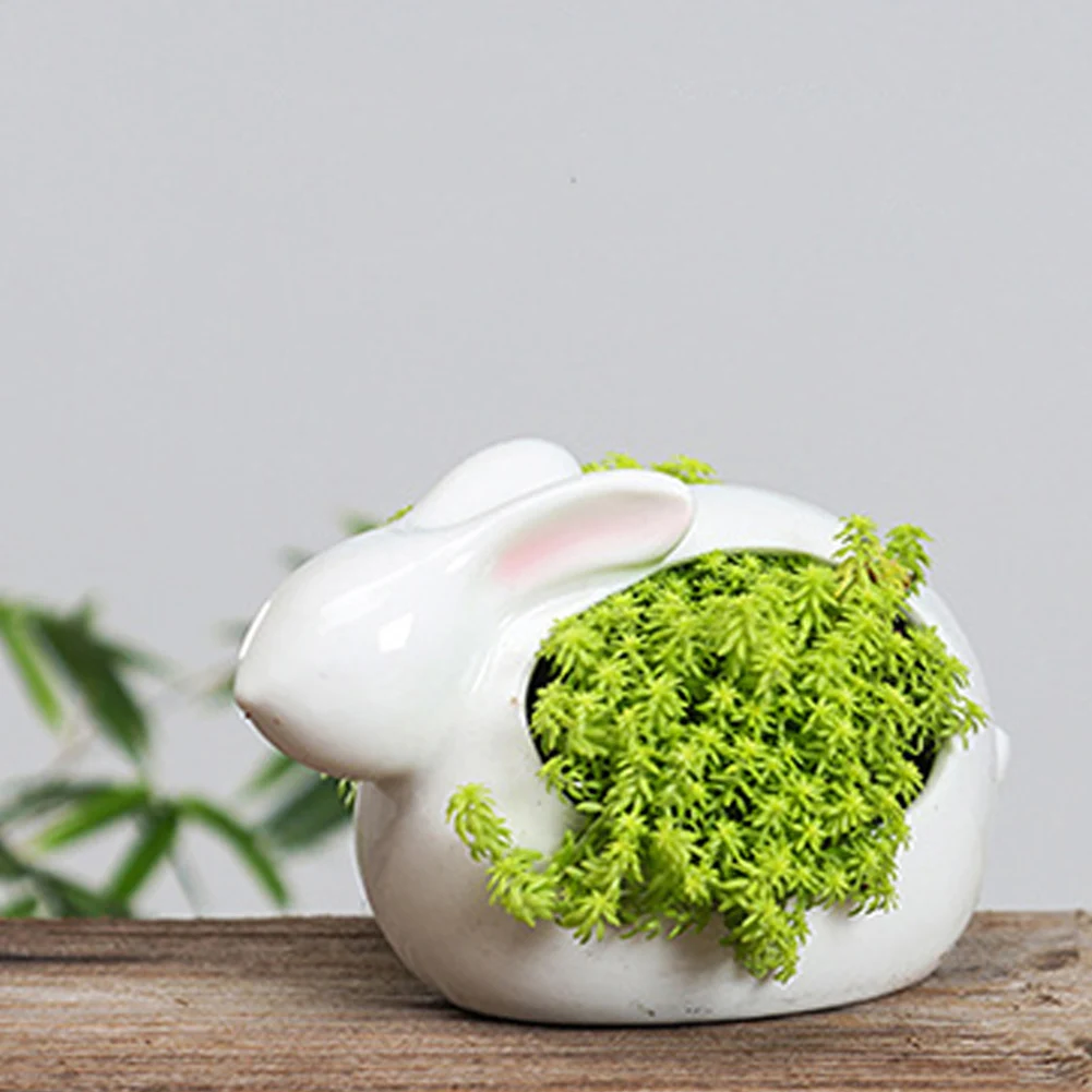Cartoon Rabbit Flowerpot Ceramic Succulent Plant Pots Mini Table Desktop Green Planters Small Bonsai Flowers Pot Home Decoration
Cartoon Rabbit Flowerpot Ceramic Succulent Plant Pots Mini Table Desktop Green Planters Small Bonsai Flowers Pot Home Decoration