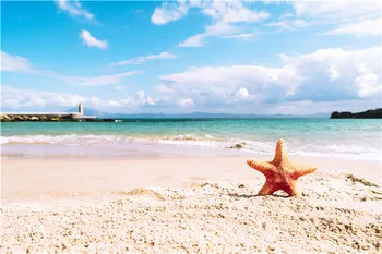 Vinyl Custom Scenery Photography Backdrops Props Beach theme Photo Studio Background F20020-61
Vinyl Custom Scenery Photography Backdrops Props Beach theme Photo Studio Background F20020-61