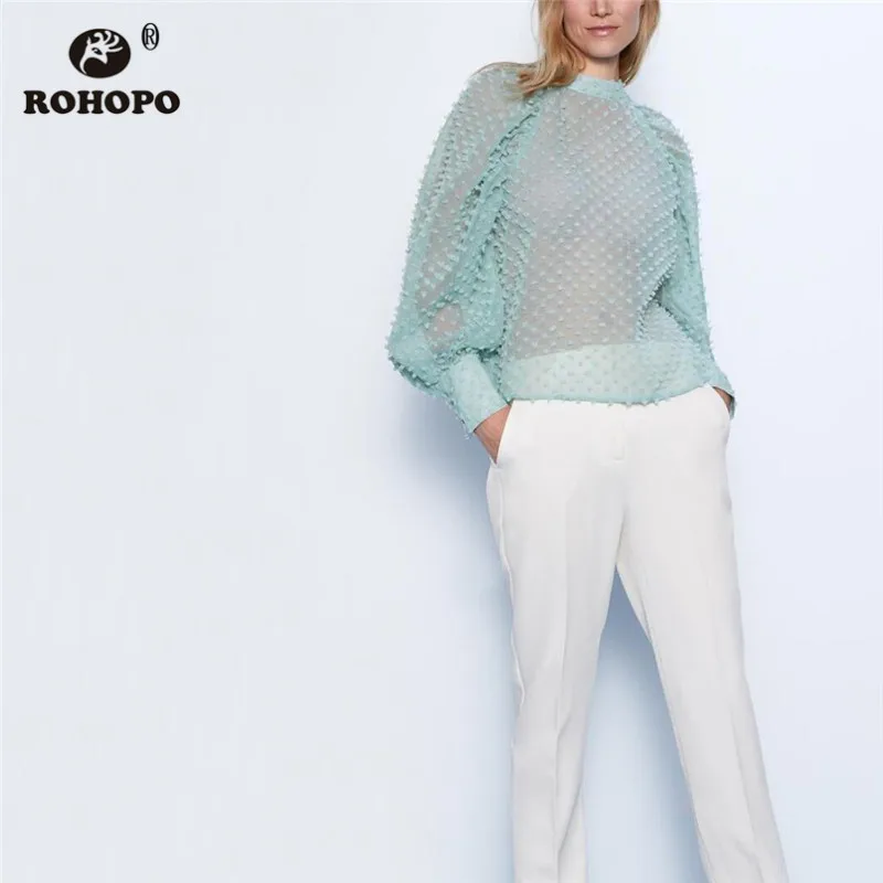 ROHOPO Semi Tansparent Embroidery Polk Dot Sky Blue Blouse Round Collar Back Split Neck Buttons Fly Cuff Tops Blusa #2580
ROHOPO Semi Tansparent Embroidery Polk Dot Sky Blue Blouse Round Collar Back Split Neck Buttons Fly Cuff Tops Blusa #2580