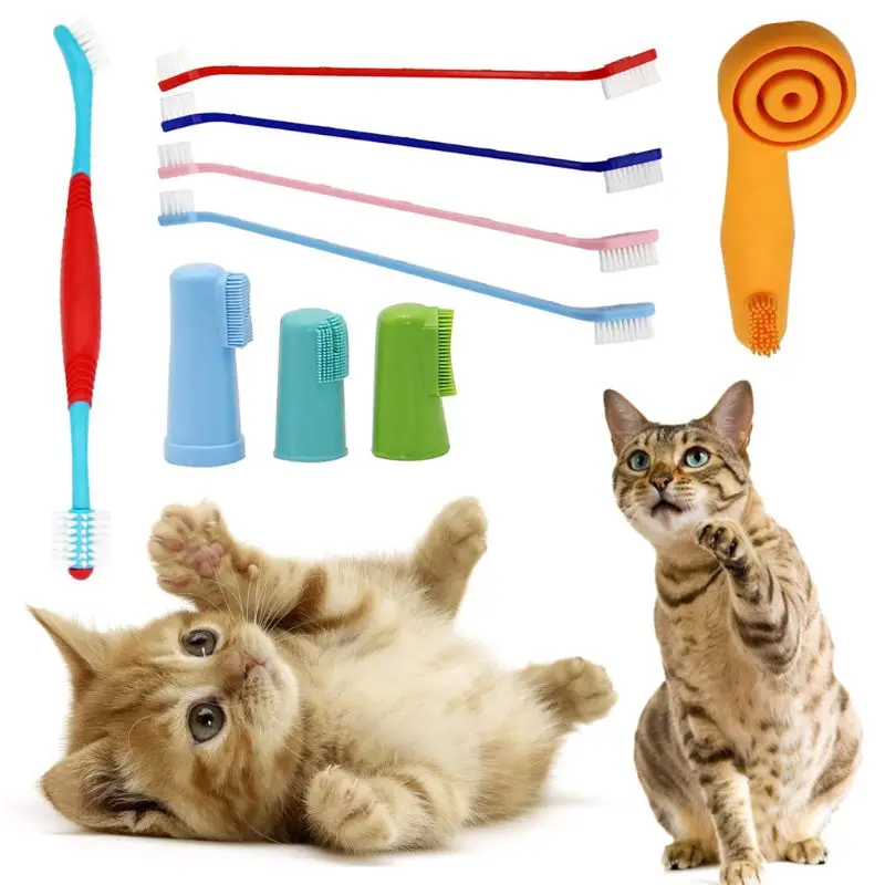 22 Pcs Small Protable Dog Cat Toothbrush Kit Large Breed Tooth Care Dental Tool 37MB
22 Pcs Small Protable Dog Cat Toothbrush Kit Large Breed Tooth Care Dental Tool 37MB