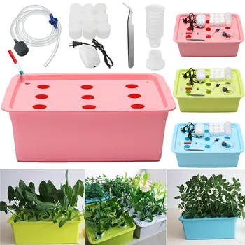 220V 9 Holes Hydroponic System Kit DWC Aerobic Soilless Cultivation Indoor Water Planting Box Planters Nursery Pots
220V 9 Holes Hydroponic System Kit DWC Aerobic Soilless Cultivation Indoor Water Planting Box Planters Nursery Pots