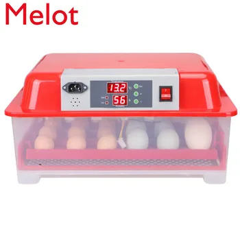hot sale JF- 24 Cheap Price Chicken Duck Goose Quail Poultry Egg Incubator/Chicken Egg Incubator For Sale
hot sale JF- 24 Cheap Price Chicken Duck Goose Quail Poultry Egg Incubator/Chicken Egg Incubator For Sale