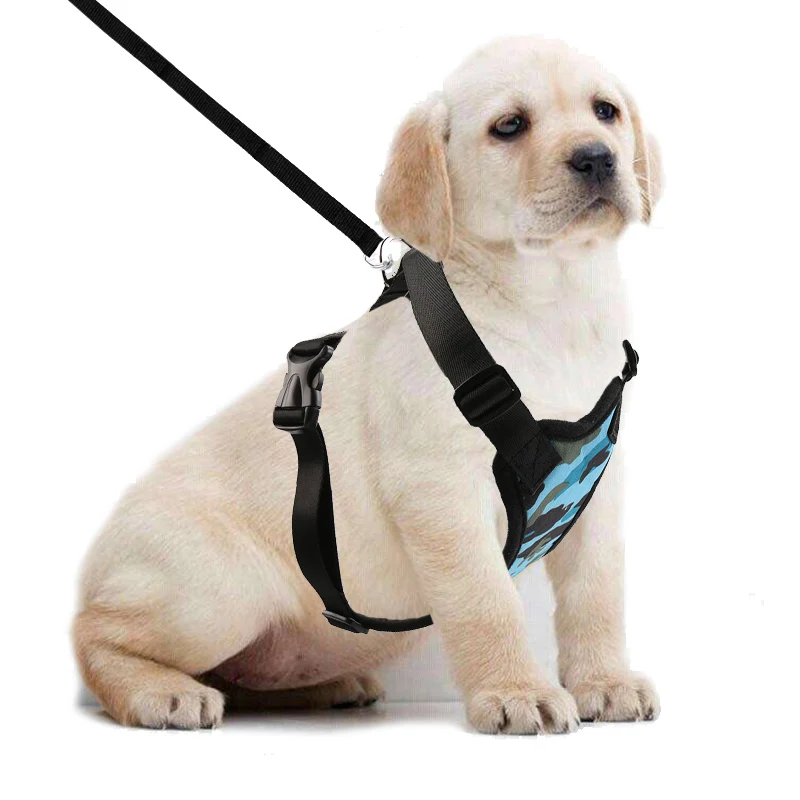 Dog Harness Adjustable Pet Vest With Leash Rope for All Size Dog Cat Pet Breathable Mesh Pet Harness No-pull Sport Dog Vest
Dog Harness Adjustable Pet Vest With Leash Rope for All Size Dog Cat Pet Breathable Mesh Pet Harness No-pull Sport Dog Vest
