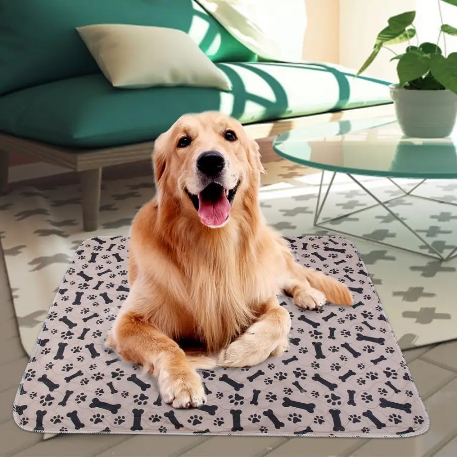 Polyester Reusable Waterproof Puppy Dog Cat Pee Bed Pad Carpet Pet Coffee Bone Urine Mat Pet Blanket Sleeping Bed
Polyester Reusable Waterproof Puppy Dog Cat Pee Bed Pad Carpet Pet Coffee Bone Urine Mat Pet Blanket Sleeping Bed