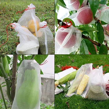 100Pcs/a Set Nylon insect-proof mesh bag fruit bag nylon seed bag soaking bag filter pitaya fruit-fly-proof bird-proof bag
100Pcs/a Set Nylon insect-proof mesh bag fruit bag nylon seed bag soaking bag filter pitaya fruit-fly-proof bird-proof bag