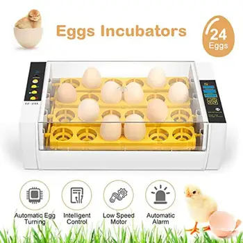 Practical 24 Eggs Large Capacity Mini Incubator For Chicken Poultry Quail Turkey Eggs Home Use Automatic Egg Turning Drop ship
Practical 24 Eggs Large Capacity Mini Incubator For Chicken Poultry Quail Turkey Eggs Home Use Automatic Egg Turning Drop ship