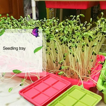 Vegetable Planting Tray Wheat Sprouts Growing Family Growing Encrypted Bottom Eyelet Take Root Easily Kitchen Storage Box
Vegetable Planting Tray Wheat Sprouts Growing Family Growing Encrypted Bottom Eyelet Take Root Easily Kitchen Storage Box